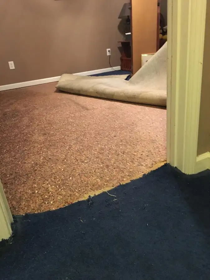 Carpet pad removal revealing water damage during Drying & Dehumidification in Lower Paxton
